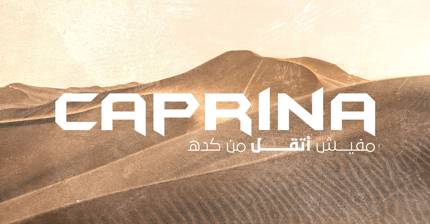 477871730_917857333891336_7492911159104779865_n